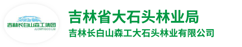 吉林省大石头林业局-吉林长白山森工集团大石头林业局有限公司
